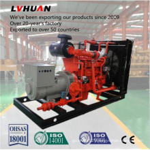 Low Comsumption 50Hz/60Hz Cummins 200kw Natural Gas Generator with High Quality